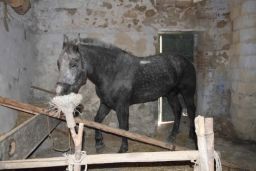 Calatafimi - Segesta24.JPG